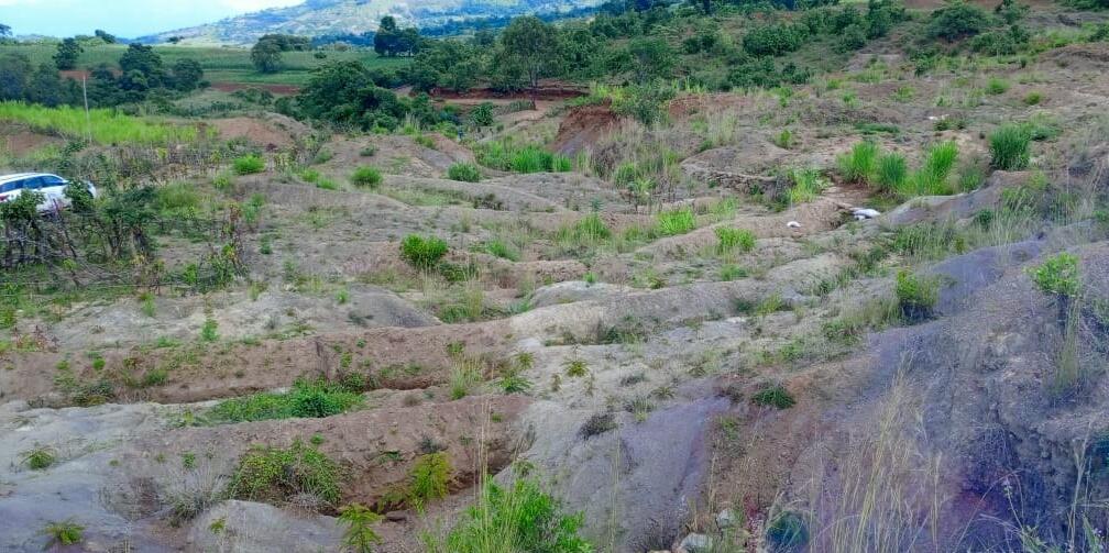 The Ethiopia Green Legacy Initiative embarks exemplary landscape restorations -  Evidence from the Gurage and Wolaita Zones of Ethiopia - Image 5