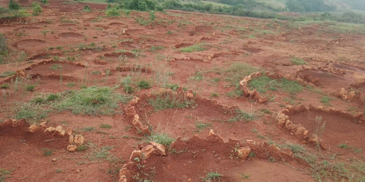 The Ethiopia Green Legacy Initiative embarks exemplary landscape restorations -  Evidence from the Gurage and Wolaita Zones of Ethiopia - Image 6