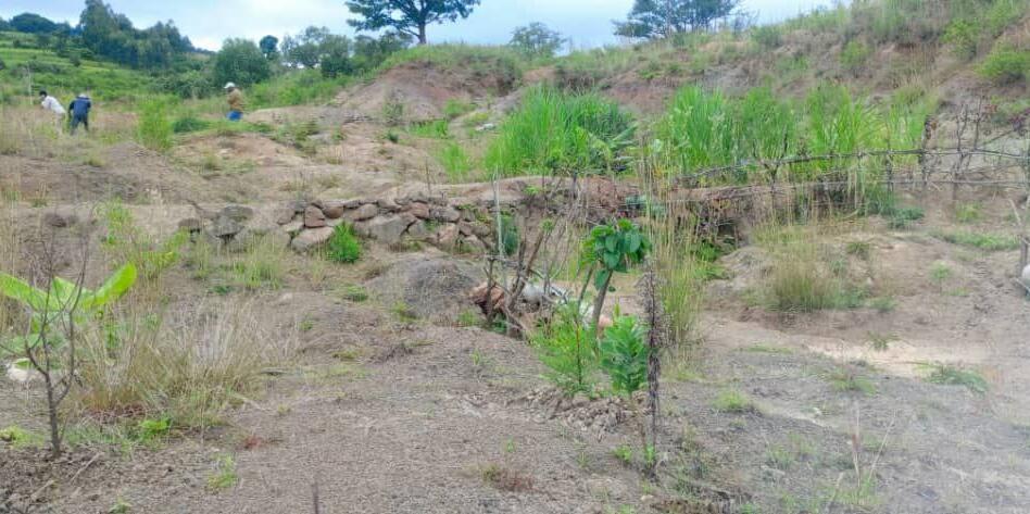 The Ethiopia Green Legacy Initiative embarks exemplary landscape restorations -  Evidence from the Gurage and Wolaita Zones of Ethiopia - Image 7