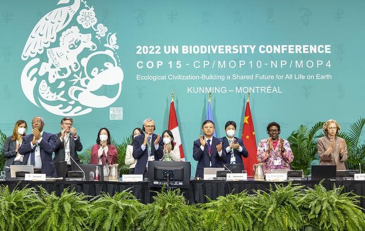 The Kunming-Montreal Global Biodiversity Framework - Alliance Bioversity International - CIAT