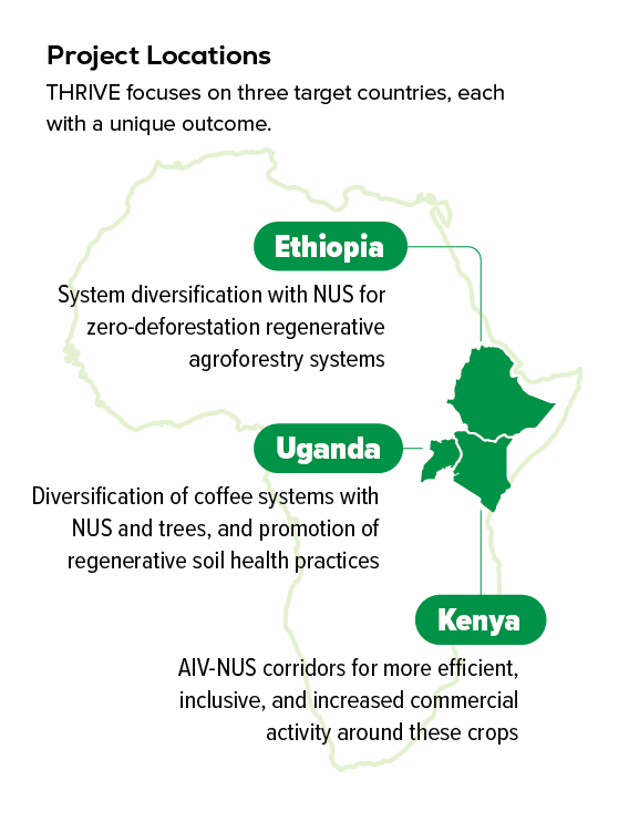 THRIVE East Africa - Alliance Bioversity International and CIAT - ETHIOPIA, UGANDA and KENYA Map