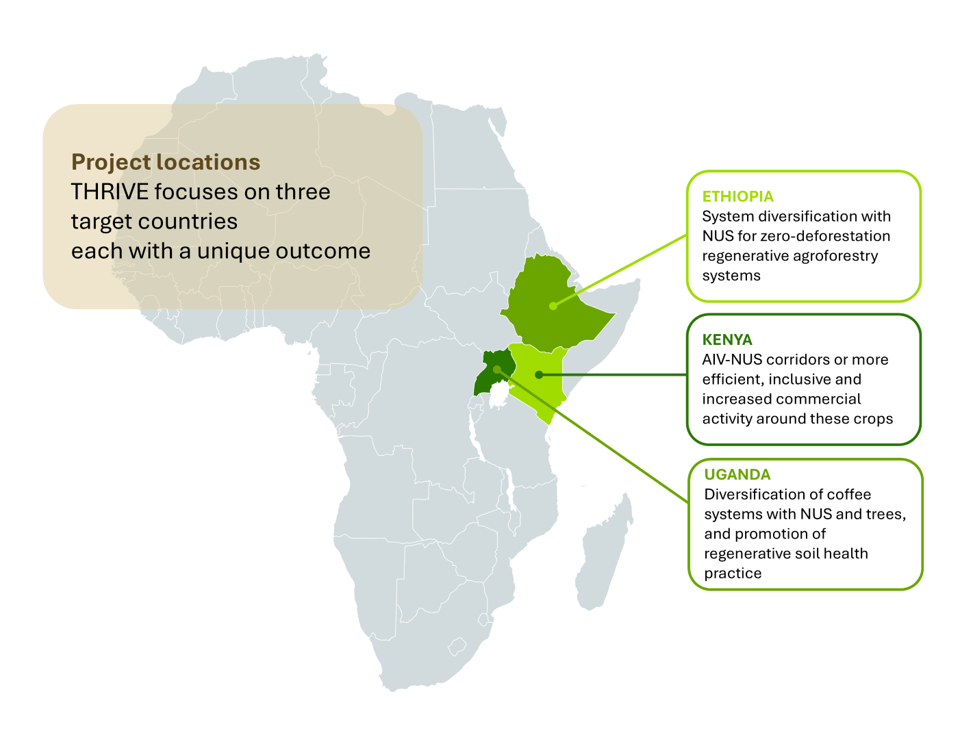 THRIVE East Africa - Alliance Bioversity International - CIAT - Image 2