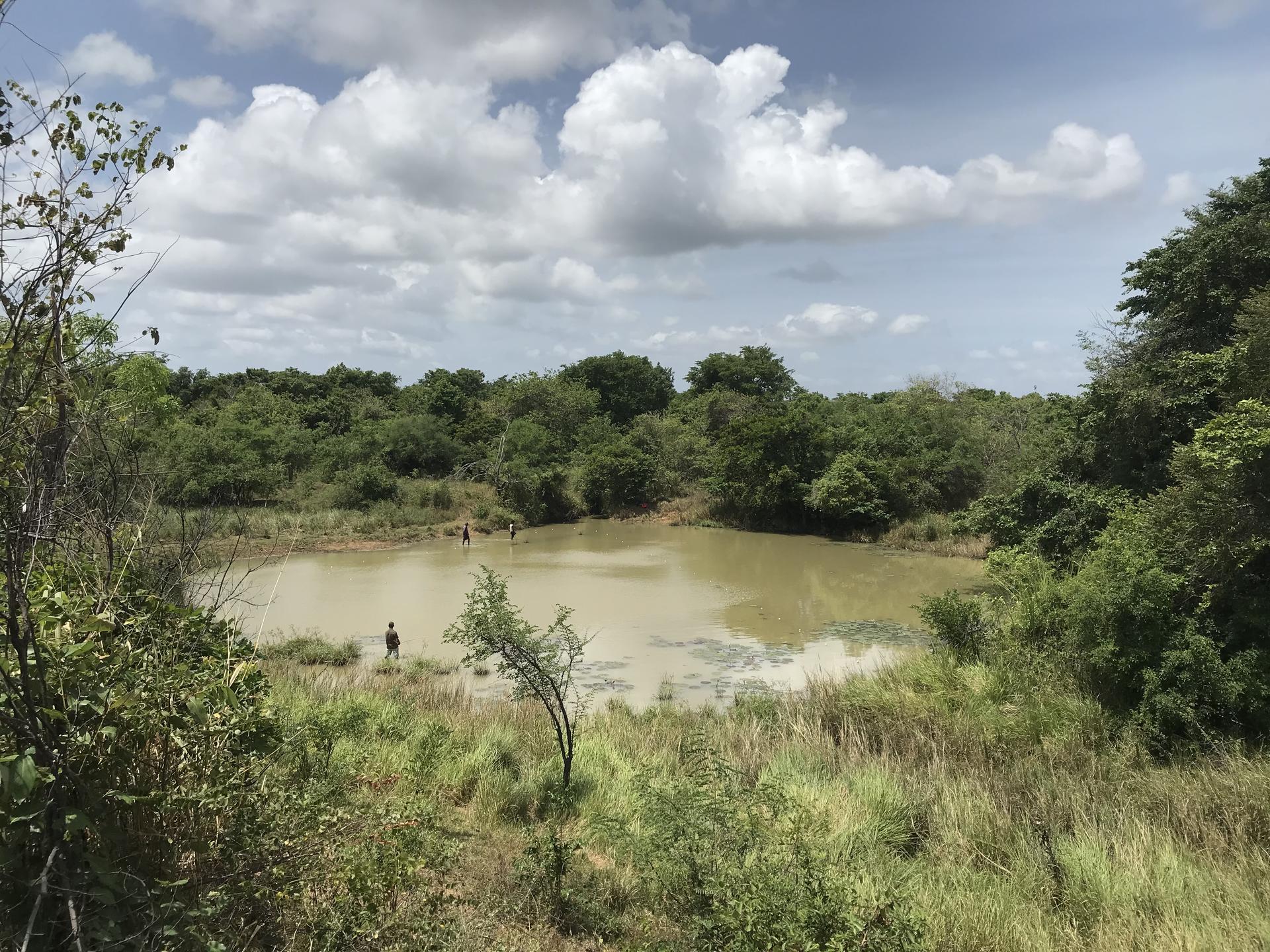 People explore the Thumbikulama tanks in the Palugaswewa region of Sri Lanka - Alliance Bioversity International - CIAT