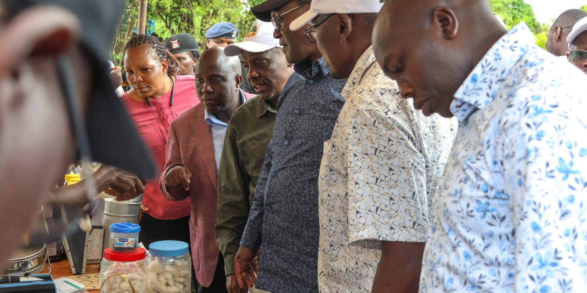 Timing is everything -Delivering climate smart innovation in Elgeyo Marakwet - Image 5