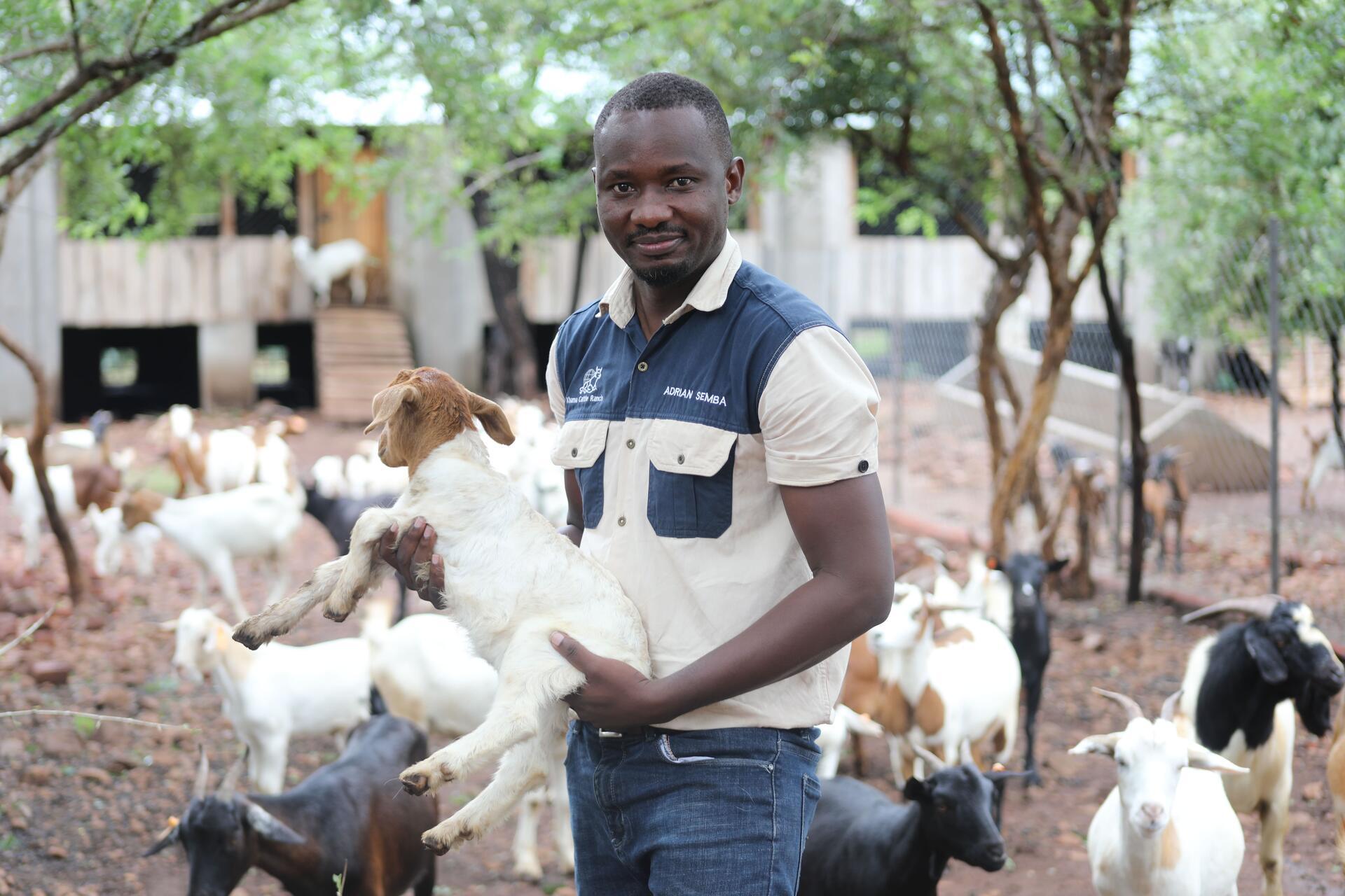Tipping the scales towards growth -  How Khama Cattle Ranch turned unmet demand into sustained growth and is reshaping the livestock sector in southern Malawi