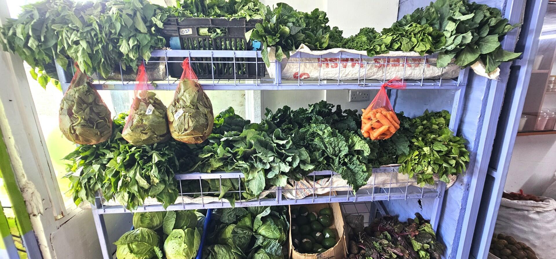 Towards agroecological school plates - Connecting producers with reliable markets - Image 1