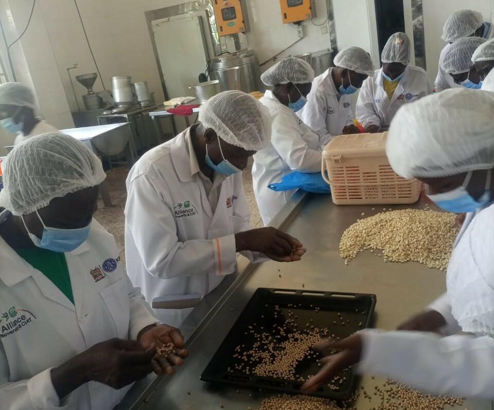 Towards sustainability Training on value addition and composite flour processing for community seed banks - Image 1