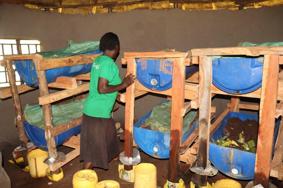 Transforming a landscape, one farmer at a time -Farmers in Lyanaginga Village of Vihiga County making strides towards an agroecological transition - Image 2