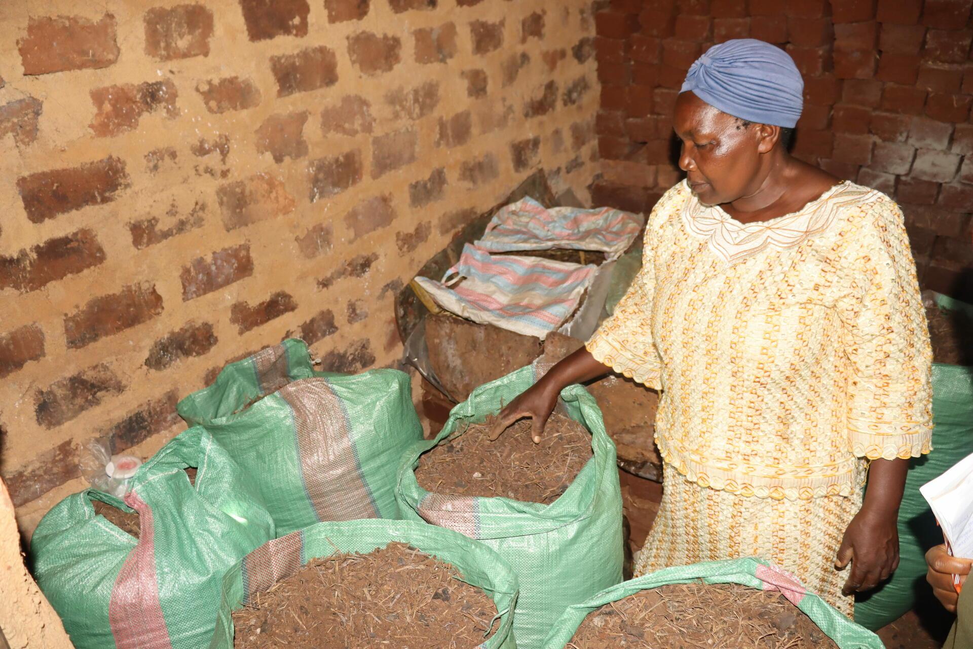 Transforming a landscape, one farmer at a time -Farmers in Lyanaginga Village of Vihiga County making strides towards an agroecological transition - Image 3