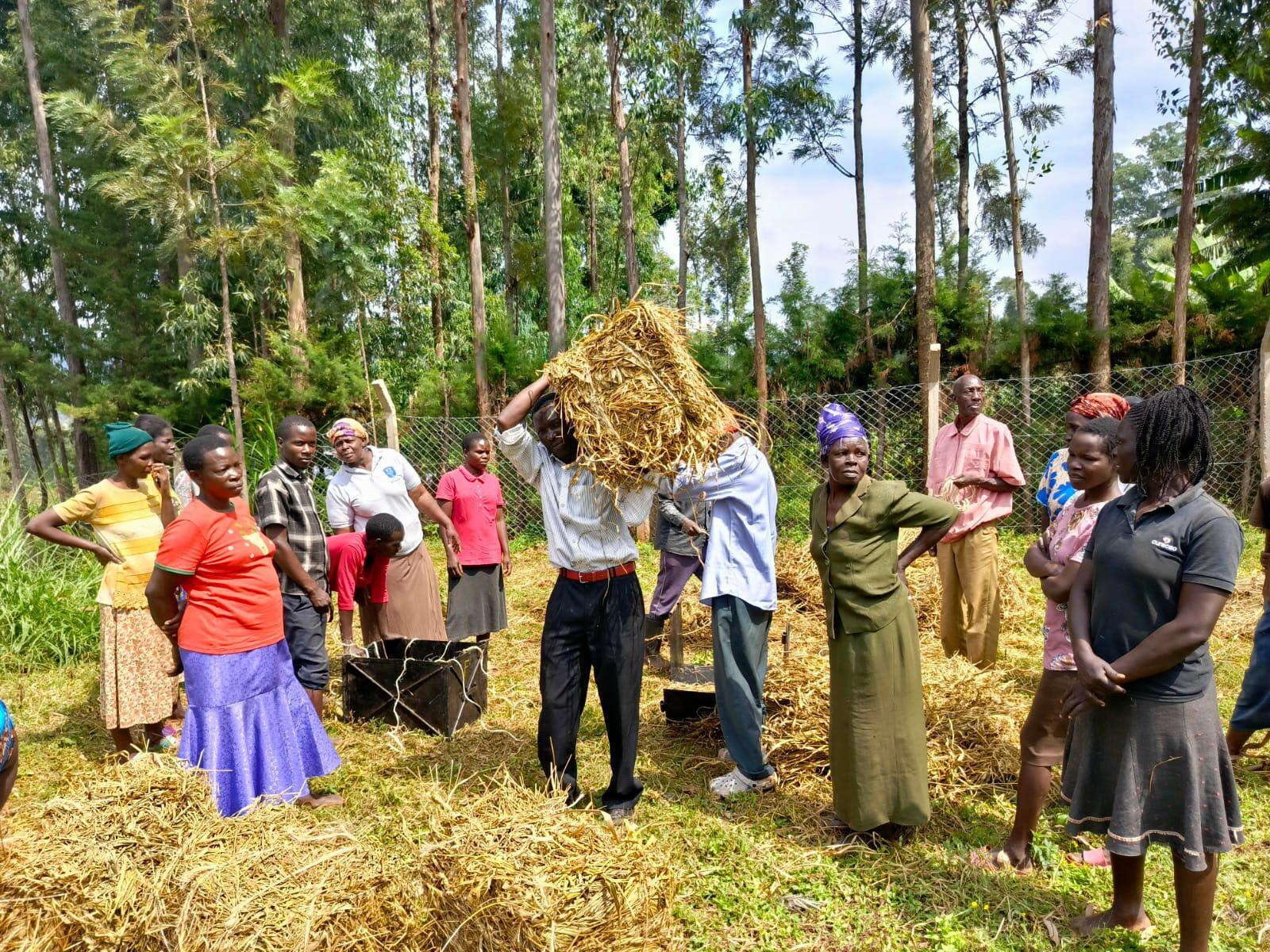 Transforming a landscape, one farmer at a time Farmers in Lyanaginga village (Vihiga, Kenya) make strides towards an agroecological transition - Image  8