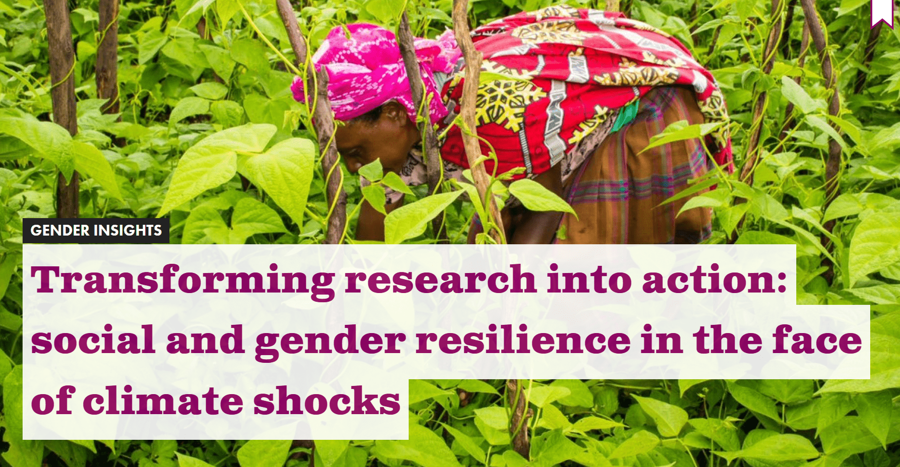 Transforming research into action: social and gender resilience in the face of climate shocks