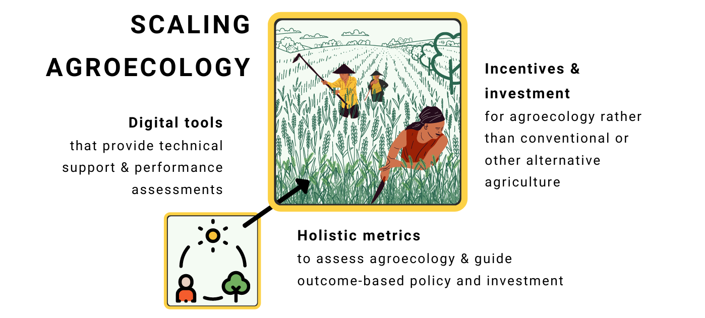 TRANSITIONS Scaling agroecology