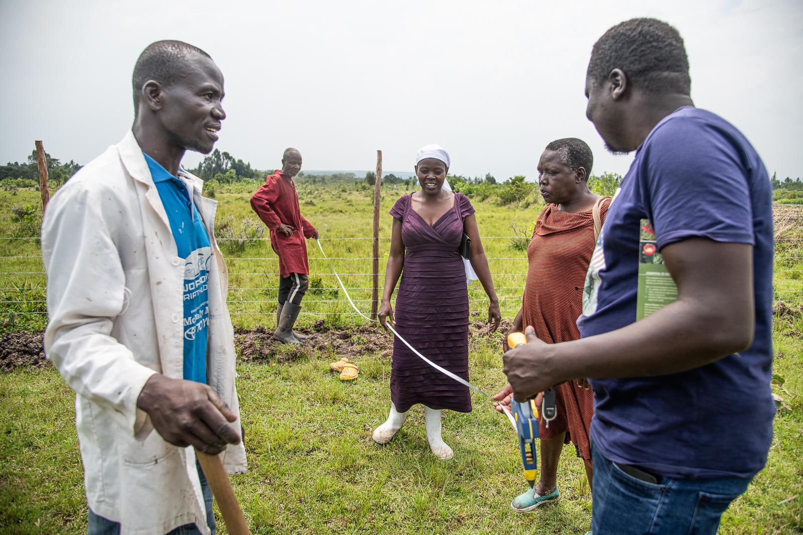 Tree tech Growing a More Resilient Future - Image 2