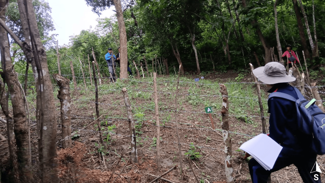 Tricot's Role in Sustainable Agriculture and Crop Improvement - Alliance Bioversity International - CIAT - Image 1