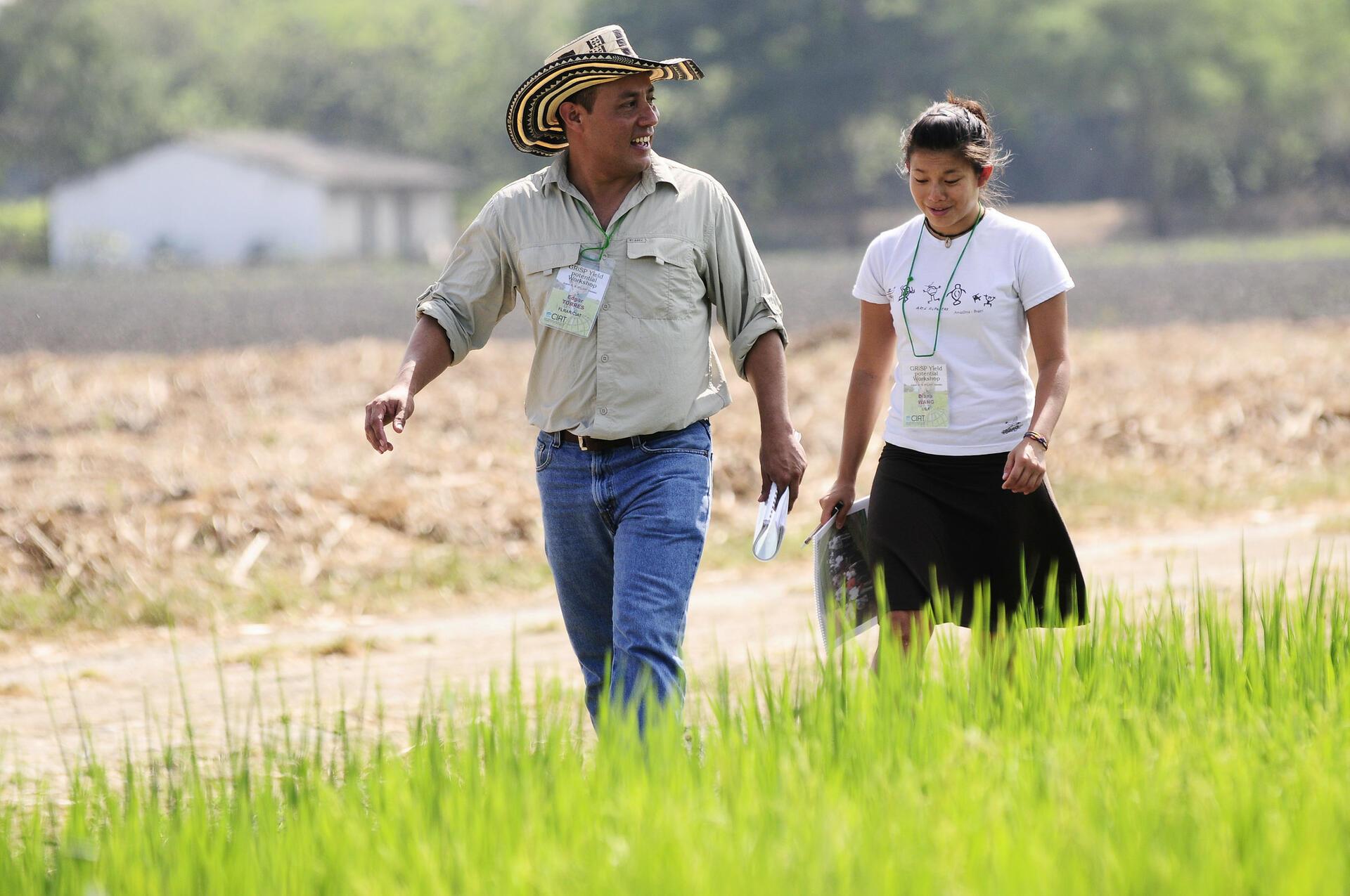 Tricot's Role in Sustainable Agriculture and Crop Improvement - Image 4