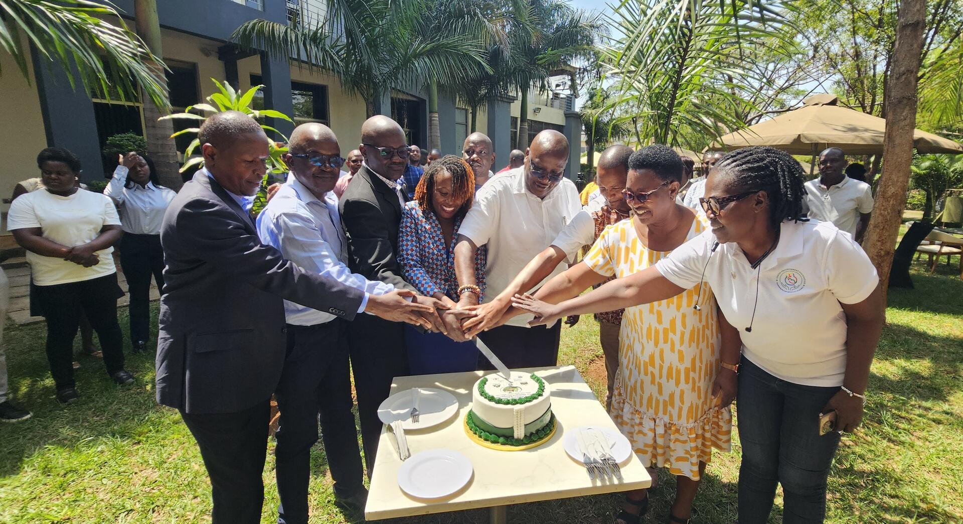 Turning food waste into climate action -  Strengthening food systems and nourishing communities - Image 2
