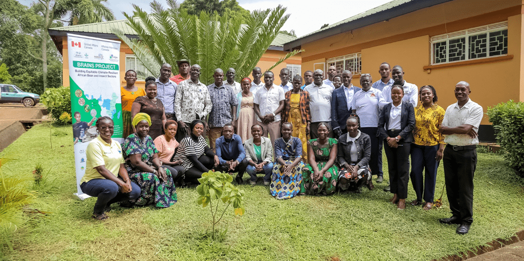 Turning waste into wealth with Black Soldier Fly farming in Uganda  - Alliance Bioversity International - CIAT - Image 1