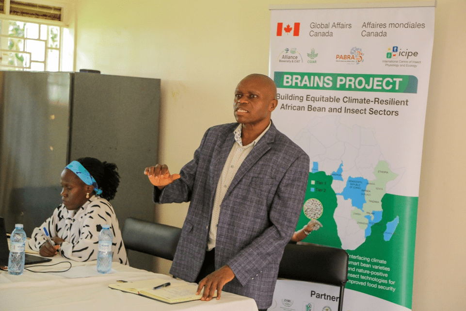 Turning waste into wealth with Black Soldier Fly farming in Uganda  - Alliance Bioversity International - CIAT - Image 2