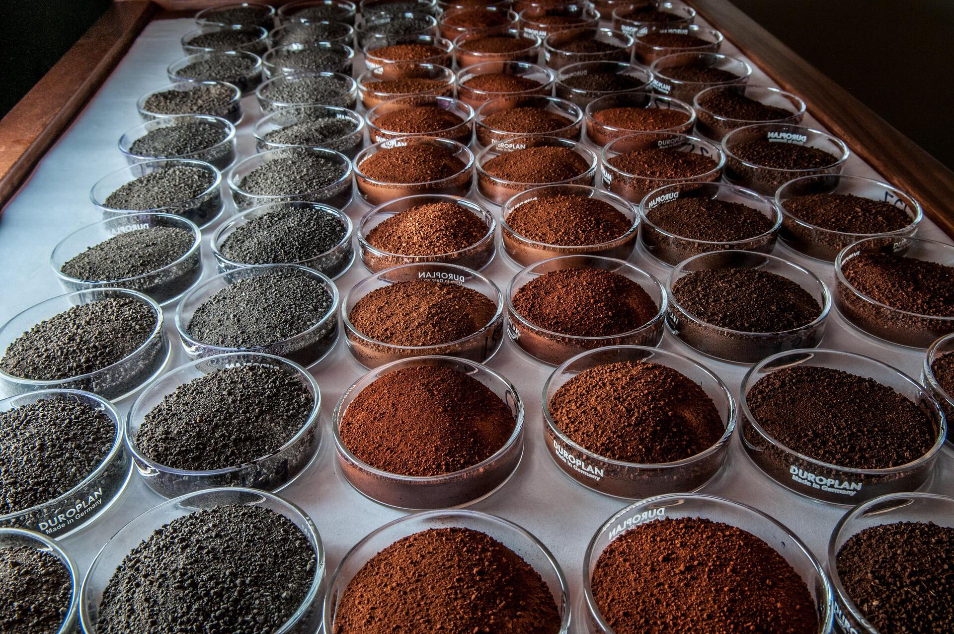 Types of soil the complete guide to every soil type - Image 2