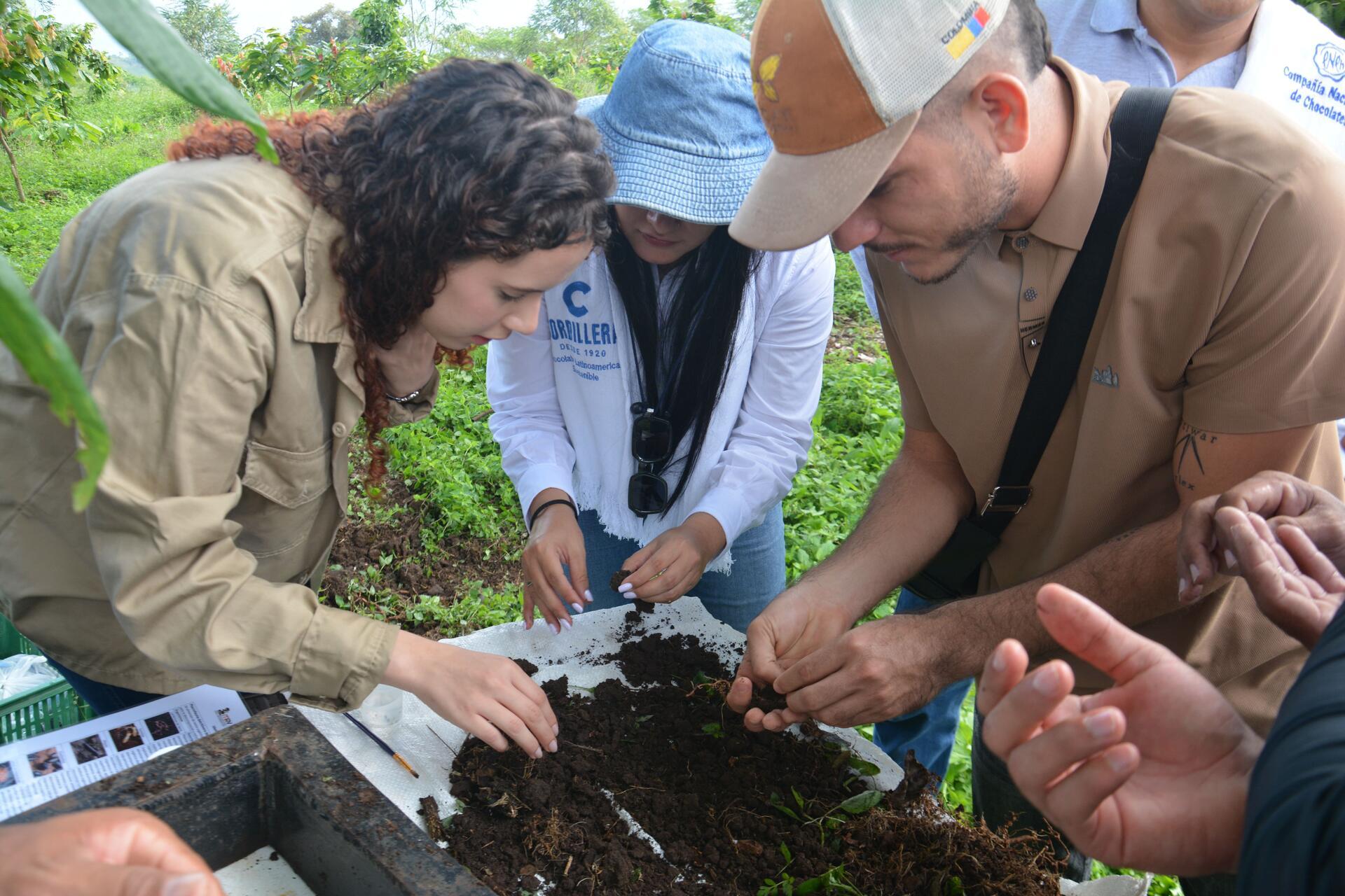 Types of soil the complete guide to every soil type - Image 4