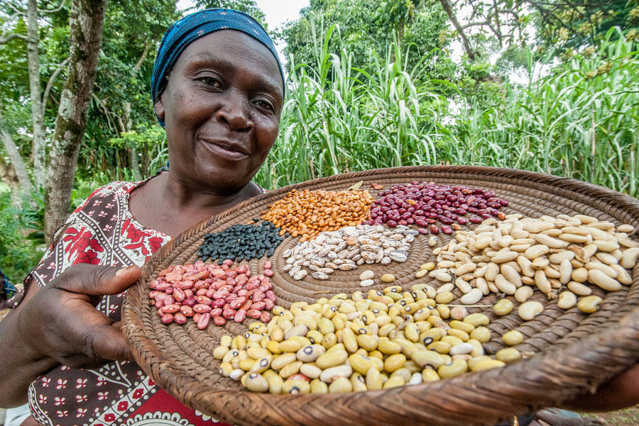 Uganda’s rural women find beans to beat climate