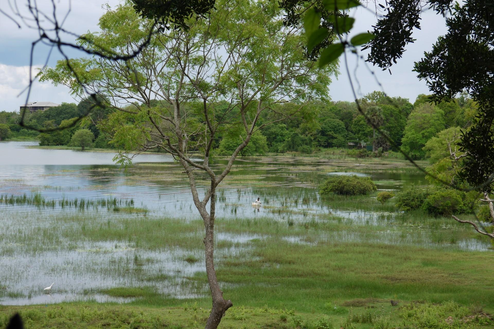Un Antiguo Sistema De Gestión Del Agua en Sri Lanka Vuelve a La Vida He Aquí El Porqué  - Alianza Bioversity International - CIAT - Foto 1