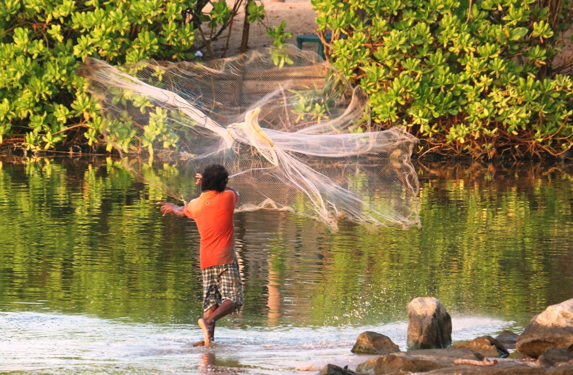 Un Antiguo Sistema De Gestión Del Agua en Sri Lanka Vuelve a La Vida He Aquí El Porqué  - Alianza Bioversity International - CIAT - Foto 2