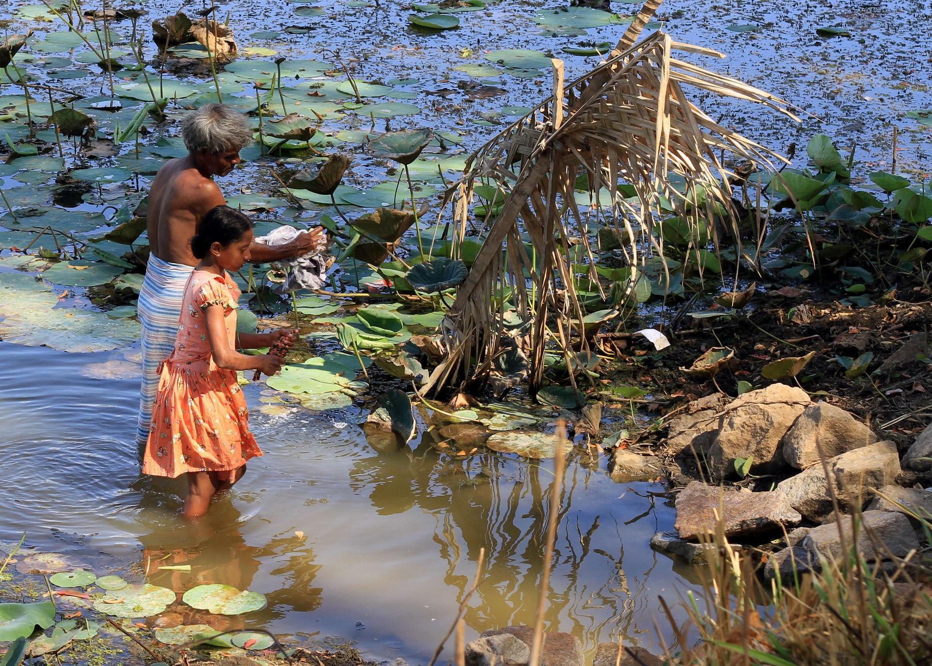Un Antiguo Sistema De Gestión Del Agua en Sri Lanka Vuelve a La Vida He Aquí El Porqué  - Alianza Bioversity International - CIAT - Foto 3