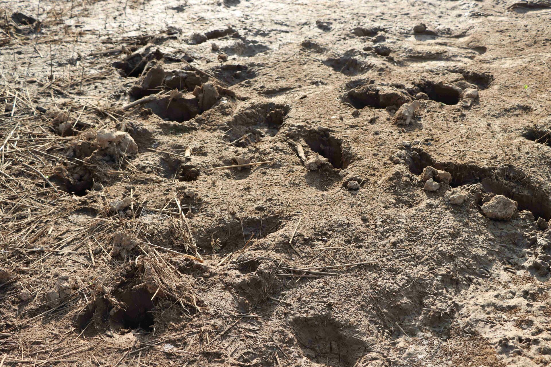 Under the surface - research identifies 20,700 hectares that can produce crops in Senegal - Image 2
