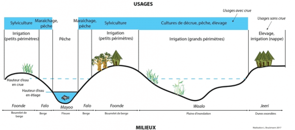Under the surface - research identifies 20,700 hectares that can produce crops in Senegal