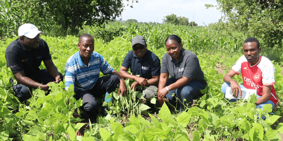 Uniting Tanzania&rsquo;s seed sector -Accelerating demand-driven transformation through public -private partnerships - Image 1