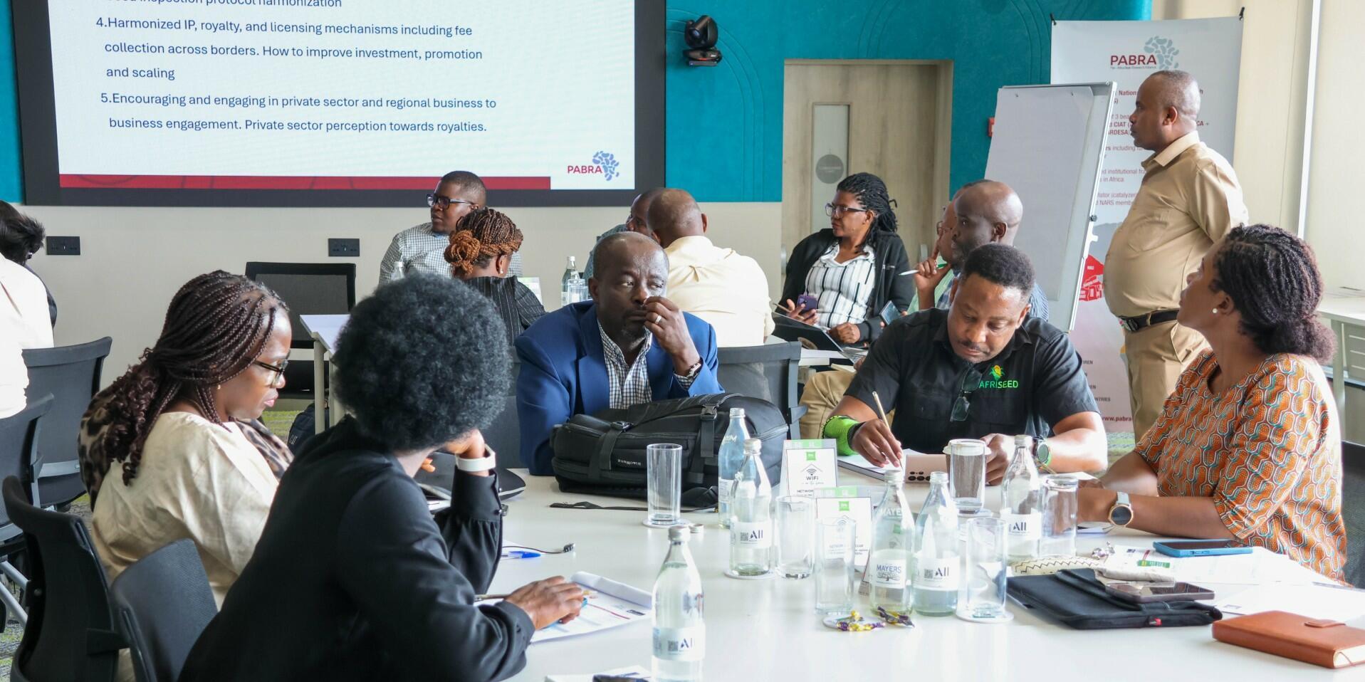 Unlocking regional seed trade for Africa's bean farmers - Image 1