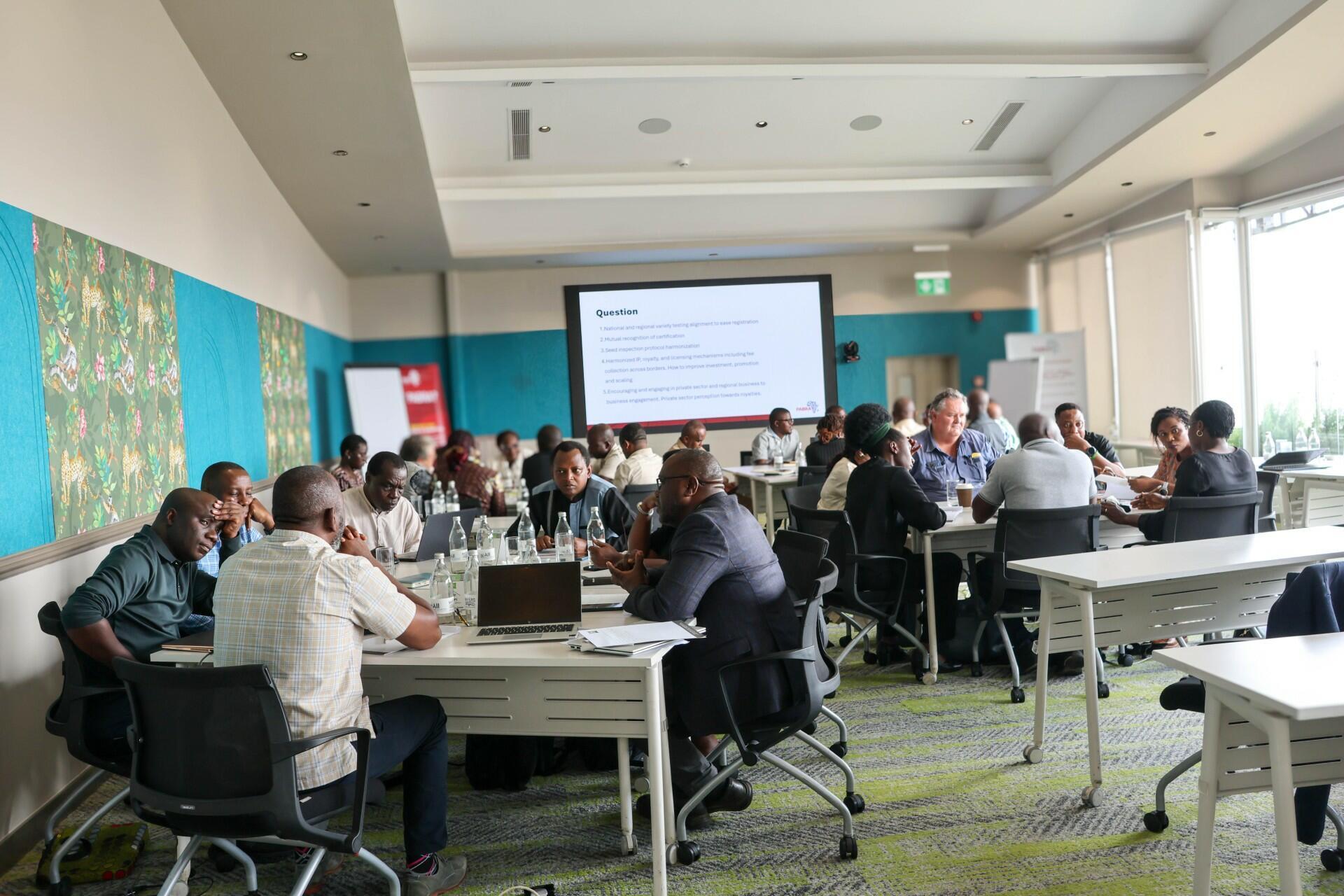 Unlocking regional seed trade for Africa's bean farmers - Image 3