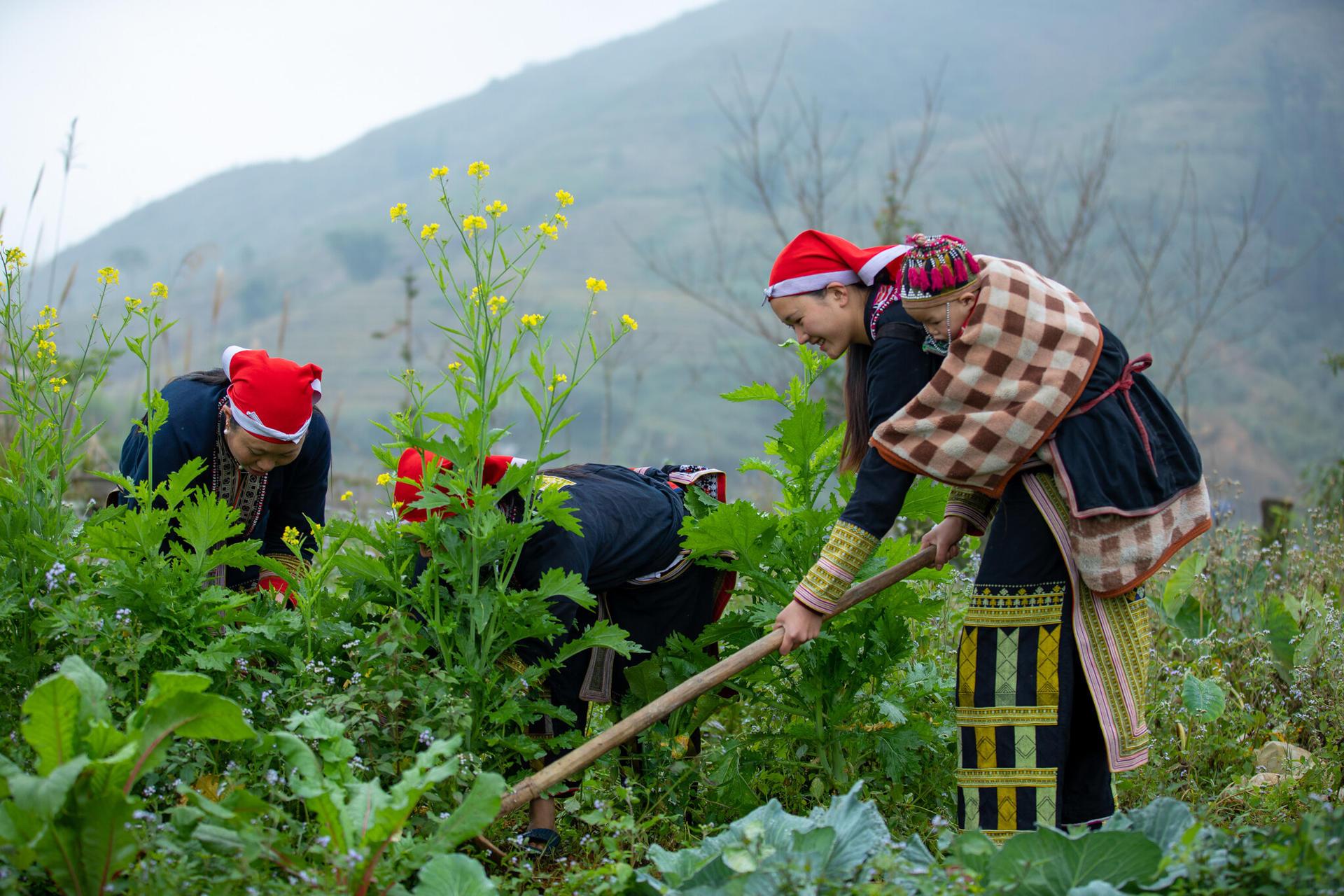 Unpacking the ‘Food Systems’ Buzzword - Image 3