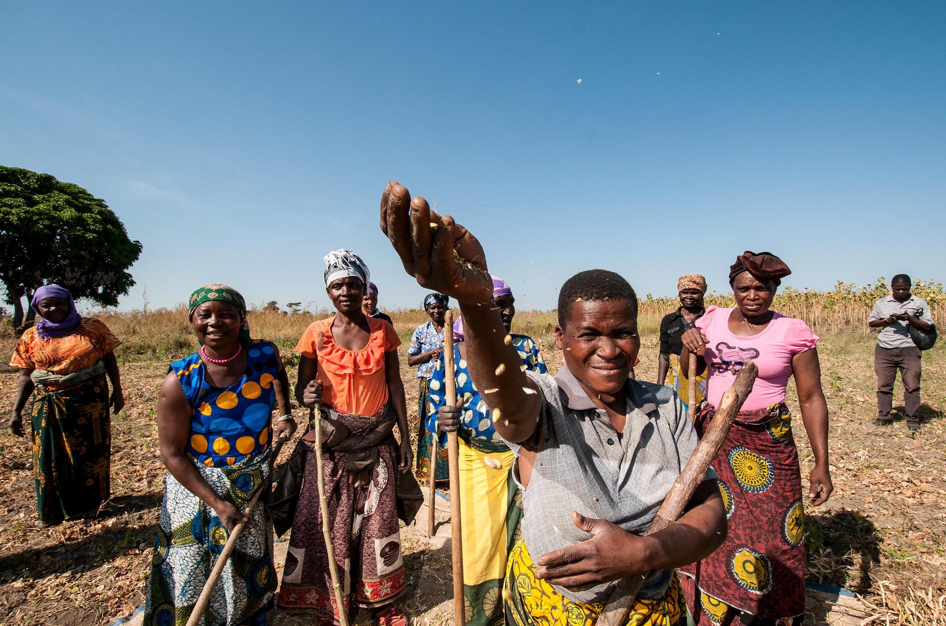 Unpacking the ‘Food Systems’ Buzzword - Image 5