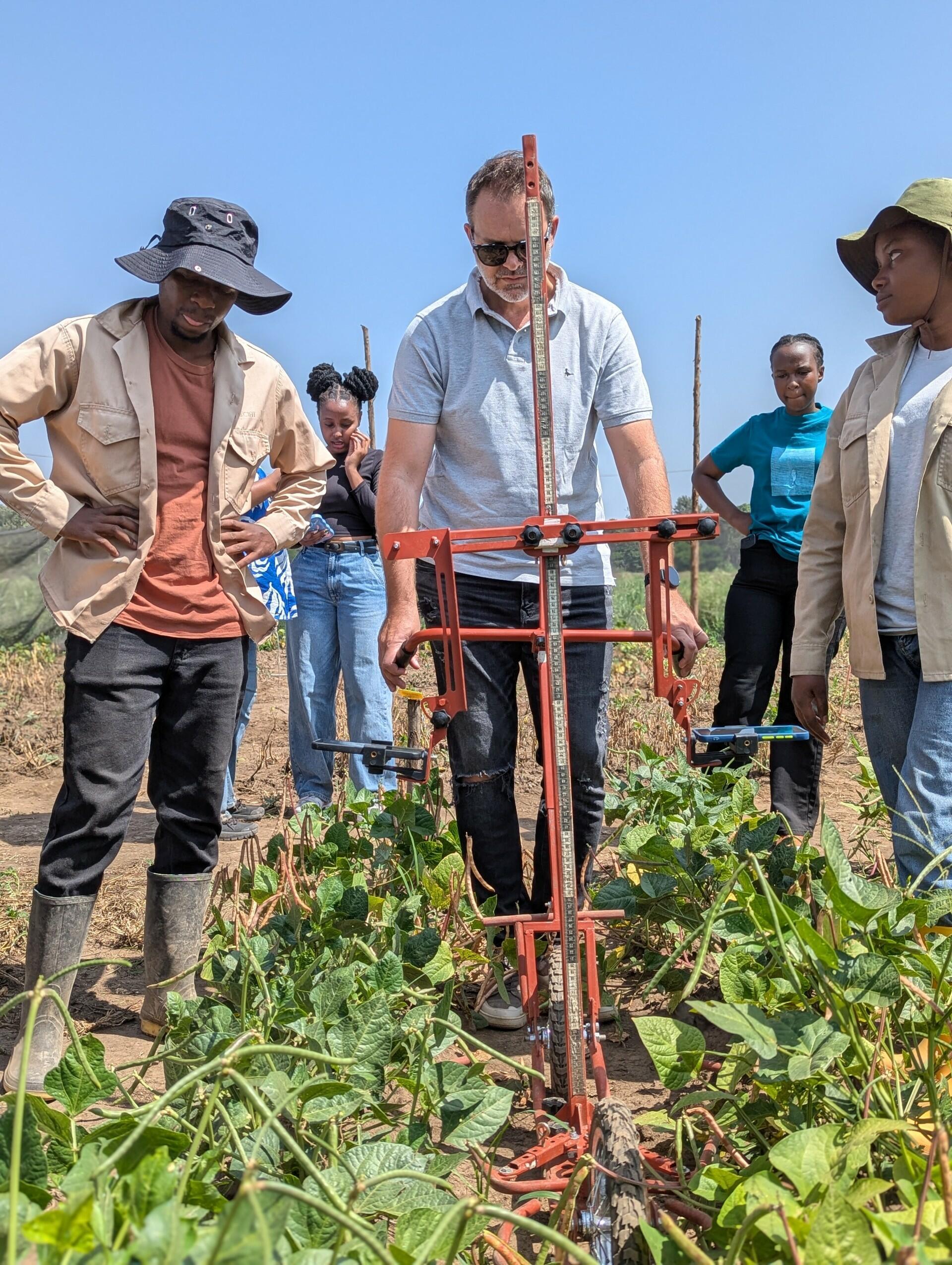 We don't talk about Bruno - How a pushcart is changing crop breeding - Alliance Bioversity International and CIAT - Image 2