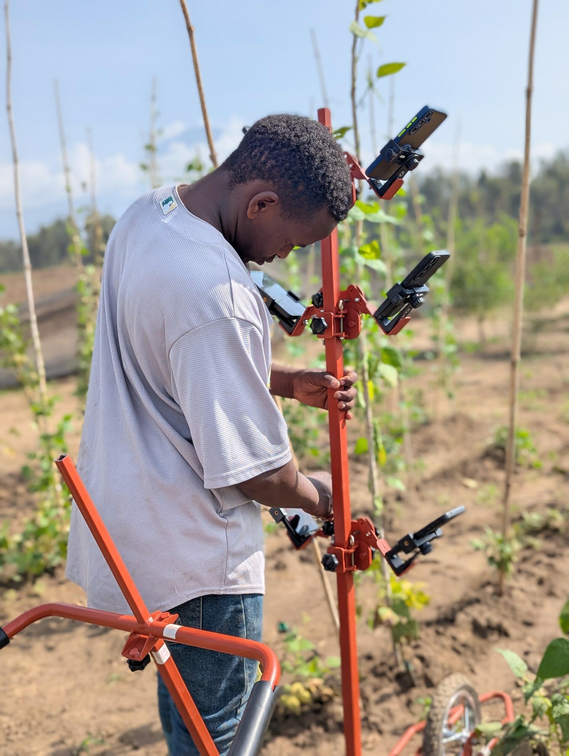 We don't talk about Bruno - How a pushcart is changing crop breeding - Alliance Bioversity International and CIAT - Image 3