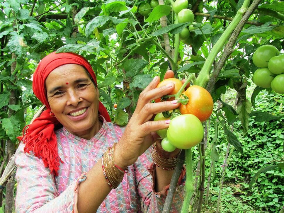 What does it mean to be a woman farmer in 2026 - The International Year of the Woman Farmer - Alliance Bioversity International and CIAT - Image 1
