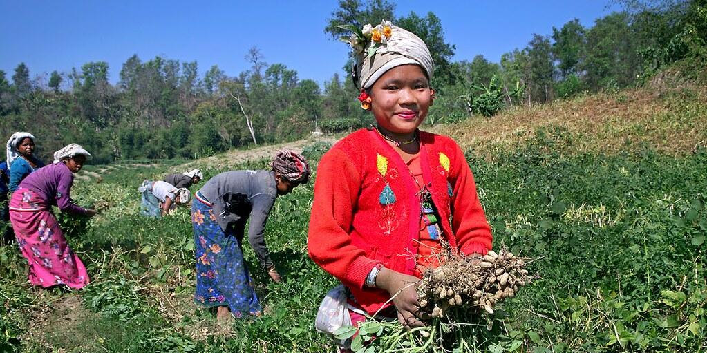 What does it mean to be a woman farmer in 2026 - The International Year of the Woman Farmer - Alliance Bioversity International and CIAT - Image 10