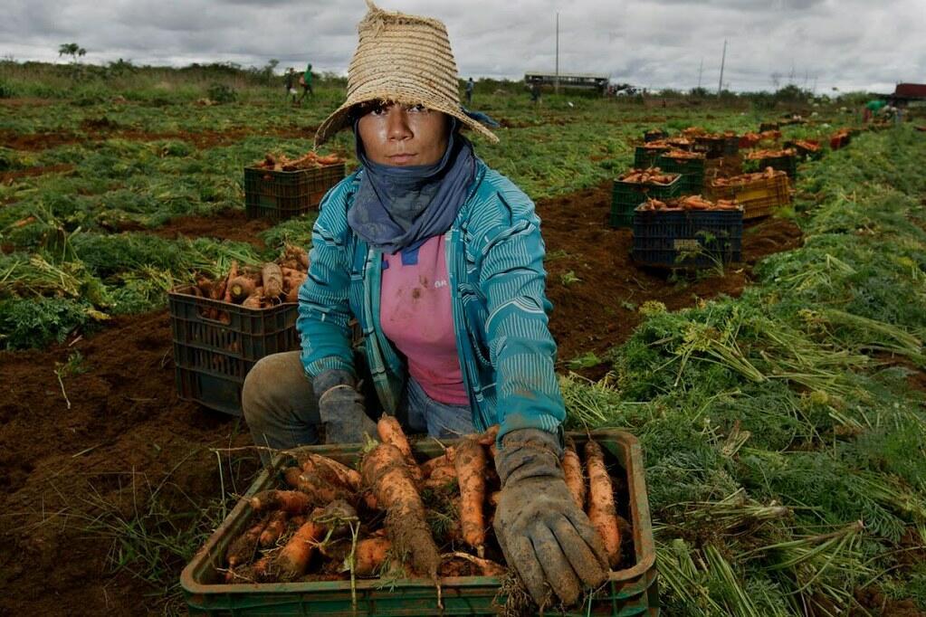 What does it mean to be a woman farmer in 2026 - The International Year of the Woman Farmer - Alliance Bioversity International and CIAT - Image 3