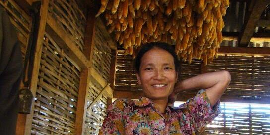 What does it mean to be a woman farmer in 2026 - The International Year of the Woman Farmer - Alliance Bioversity International and CIAT - Image 5