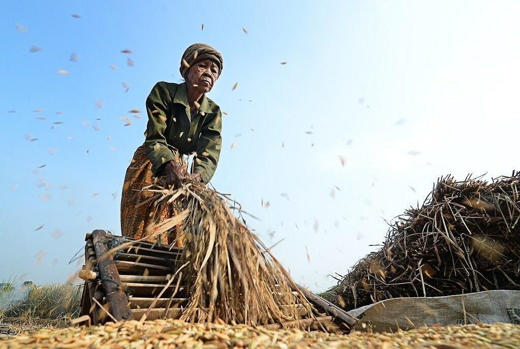 What does it mean to be a woman farmer in 2026 - The International Year of the Woman Farmer - Alliance Bioversity International and CIAT - Image 6