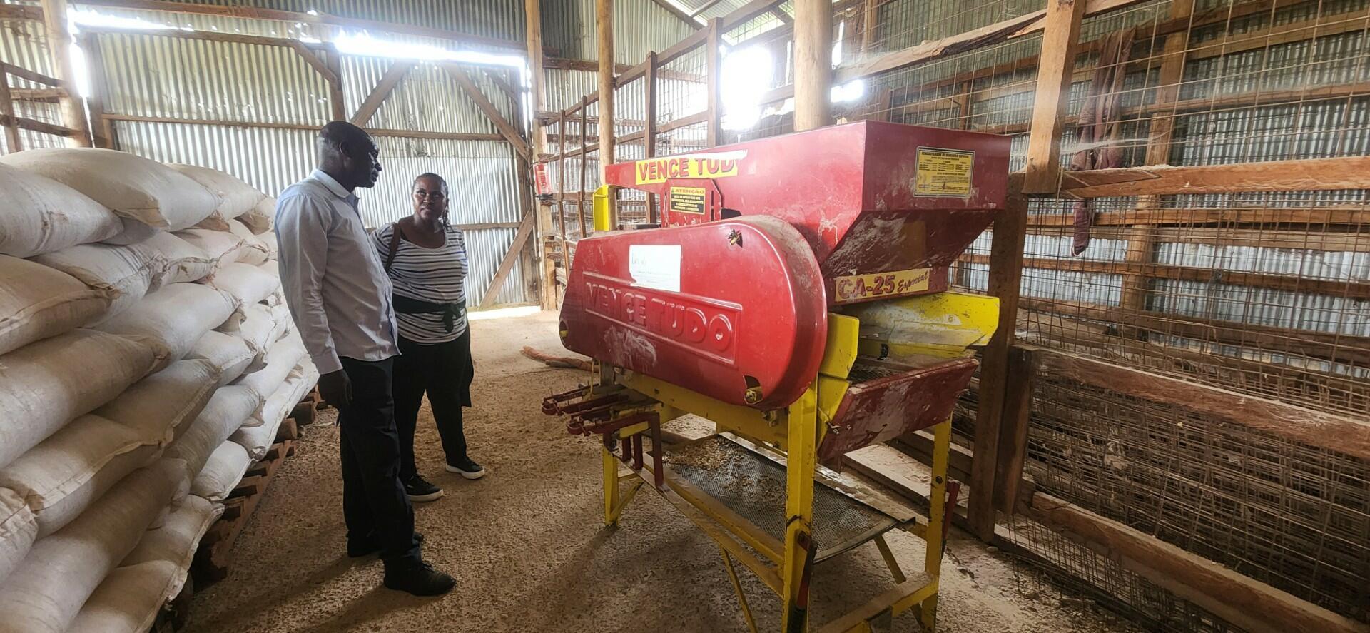 What happens when a seed company disappears Lessons from Western Kenya - Alliance Bioversity International - CIAT - Image 2
