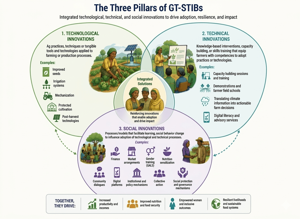 What works in gender-transformative innovation bundling Evidence from learning labs in Ethiopia - Picture 1-The 3 Pillars of GT-STIBs