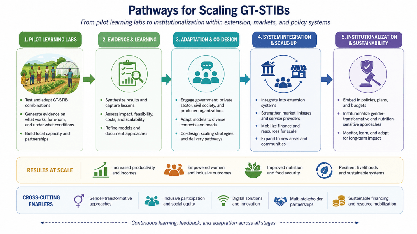 What works in Gender-Transformative Innovation Bundling Evidence from learning labs in Ethiopia - Picture 3 -Pathways for Scaling GT-STIBs