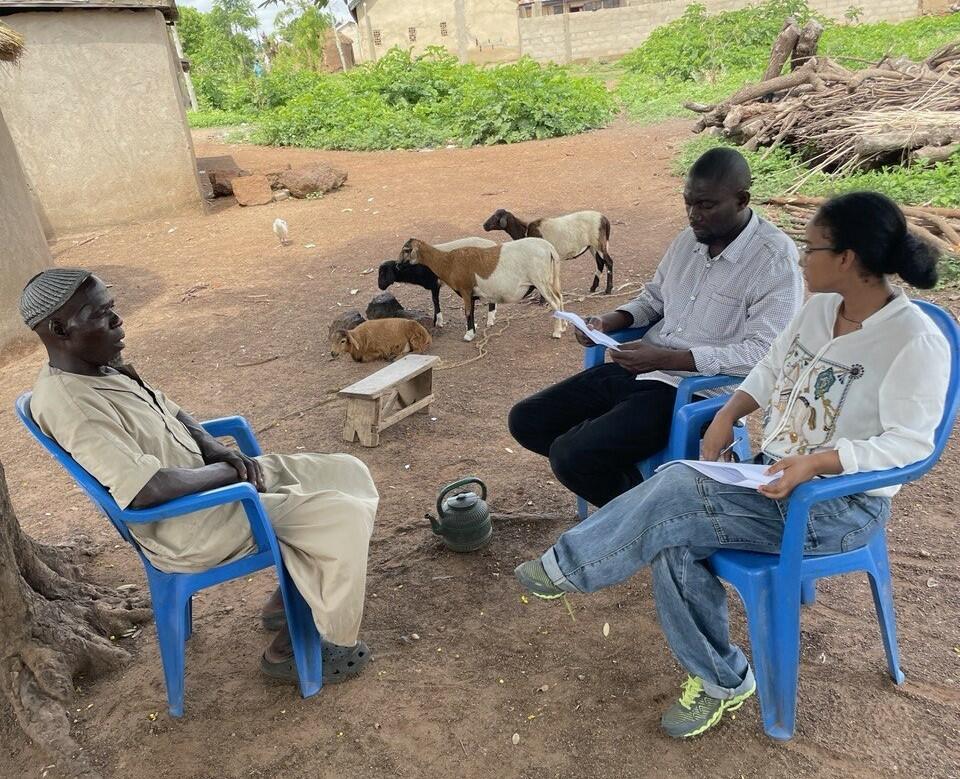 When fertilizer becomes scarce the whole farm matters - Image 1