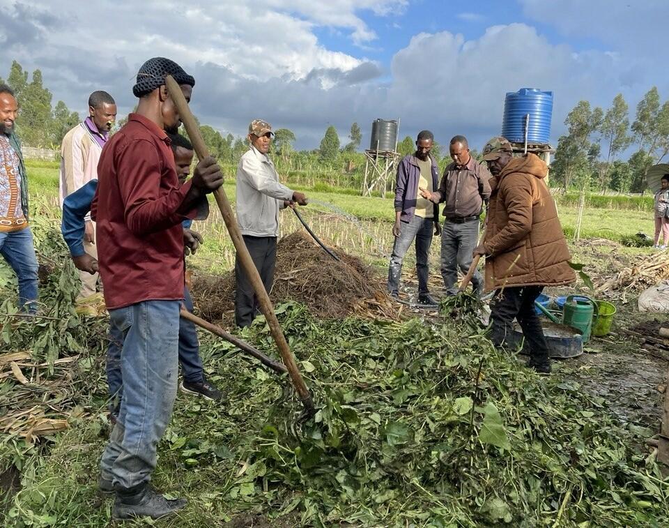 When fertilizer becomes scarce the whole farm matters - Image 2