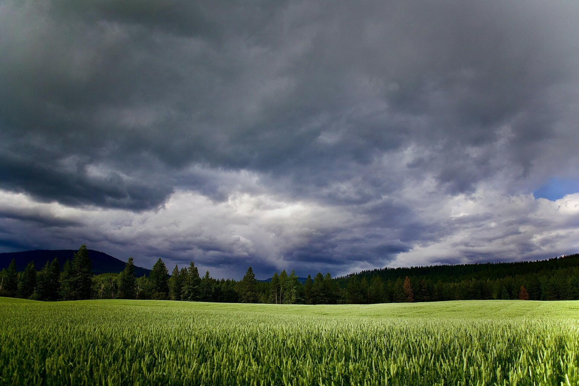 When the rains don't follow the calendar - Image 6