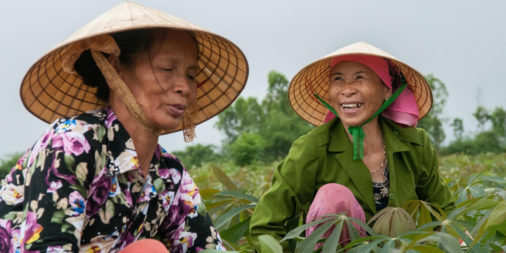 When Women Lead, Food and Land Systems Thrive The International Year of the Woman Farmer - Alliance Bioversity International and CIAT - Image 1