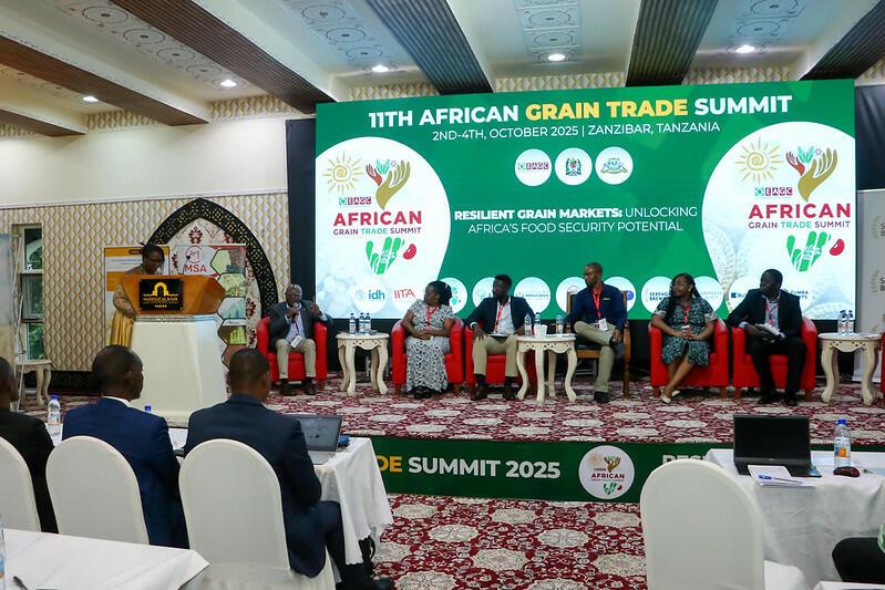 Why Sustainability is the Future of Africa's Grain Markets - Alliance Bioversity International - CIAT - Image 1